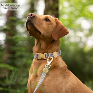 Disney© Collar - Lion Friends