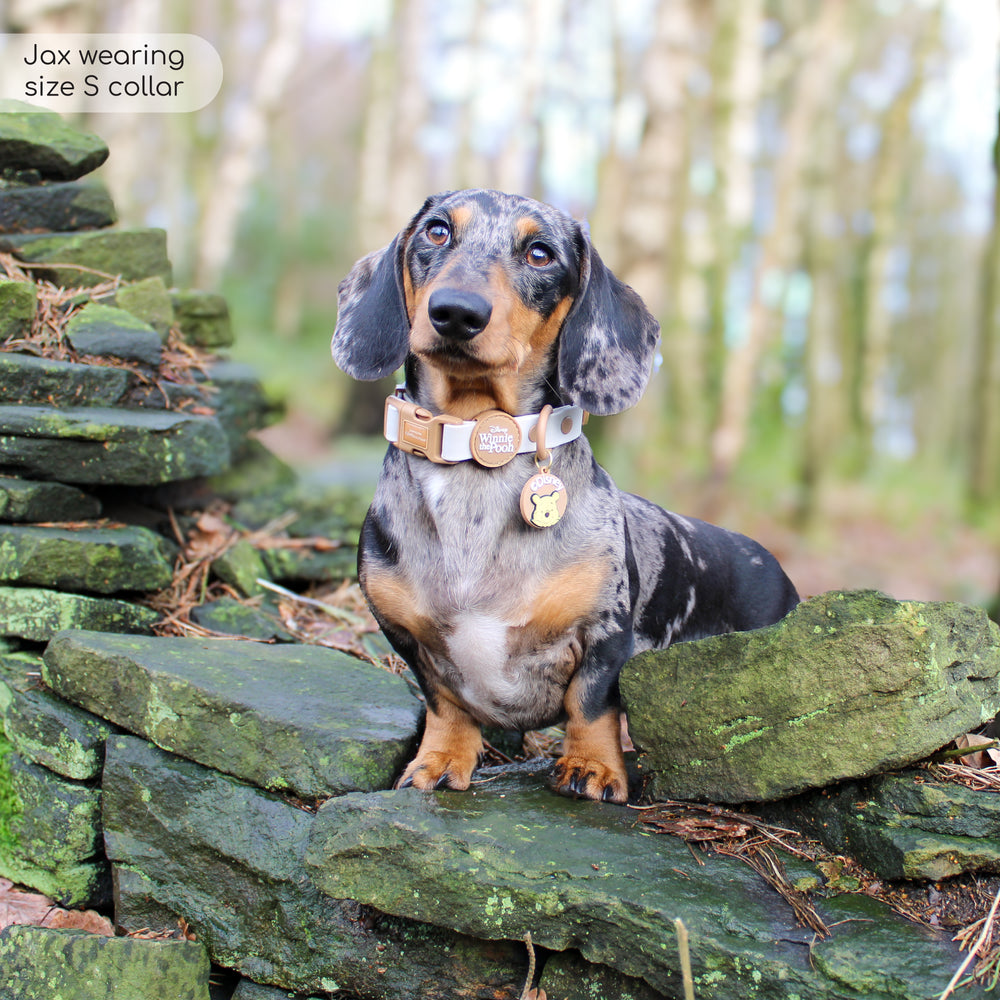 Disney© Waterproof Collar - Winnie The Pooh