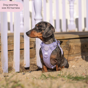 Tough Trails™ Harness - Walkies Ready® Lavender Lilac