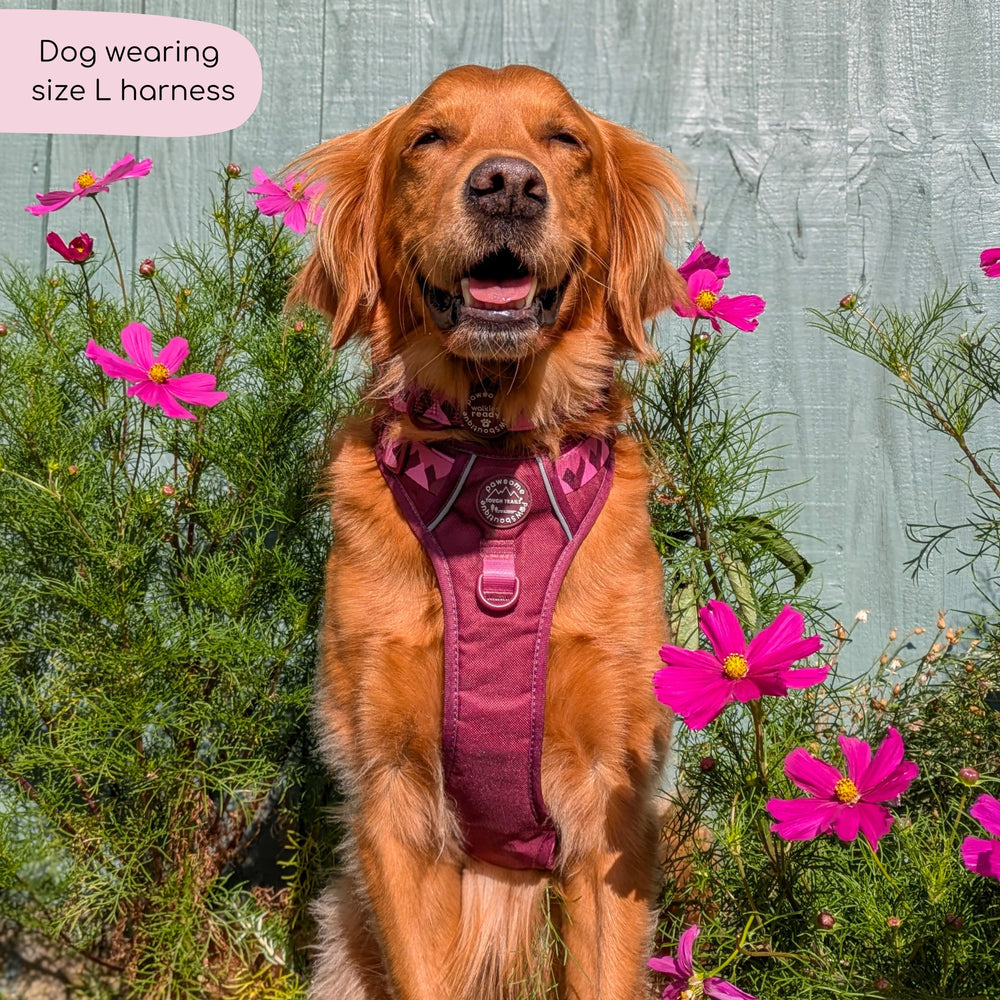 Tough Trails™ Harness - Walkies Ready® Mulberry