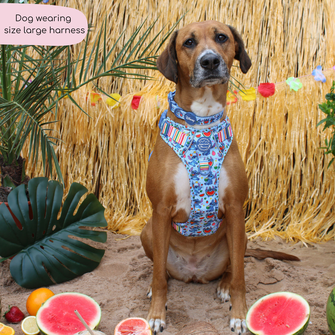 Disney© Tough Trails™ Harness - Stitch's Fruit Fiesta