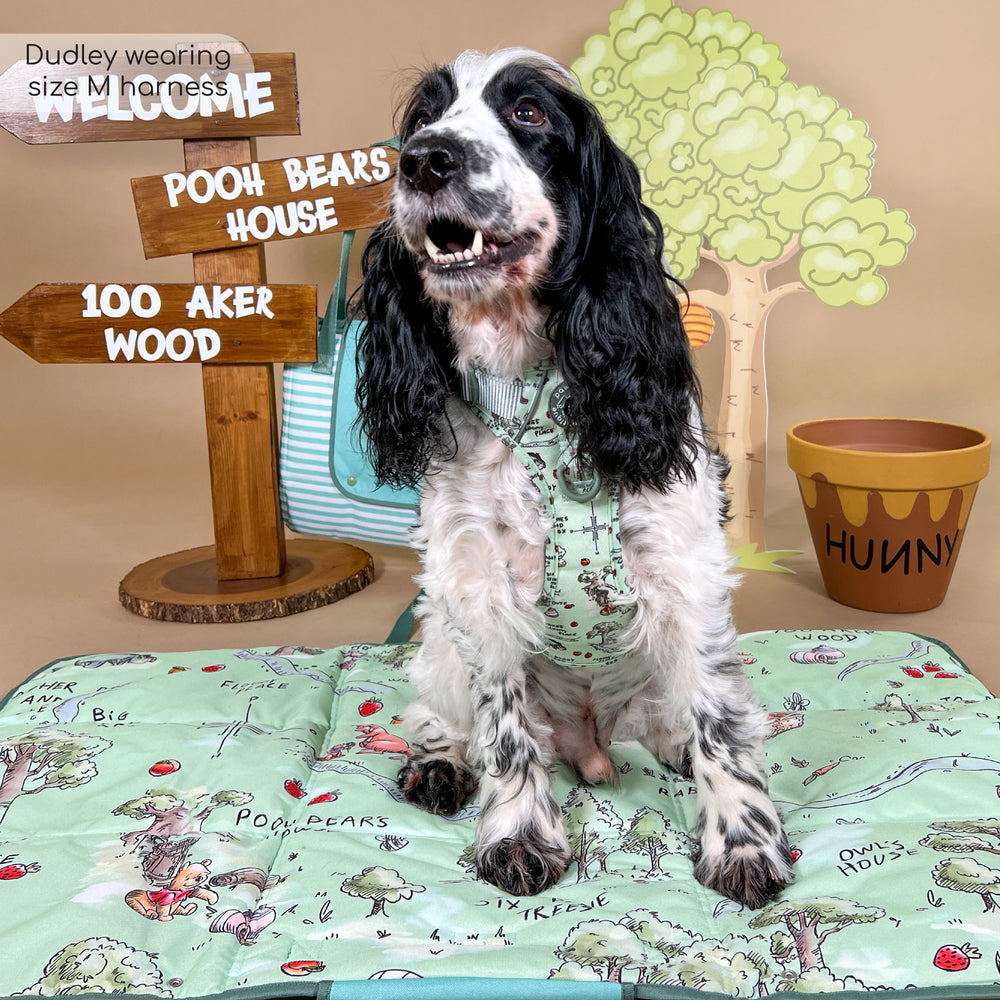 Disney© Tough Trails™ Harness - 100 Aker Wood