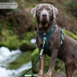 Tough Trails™ Harness - Walkies Ready® Forest Green