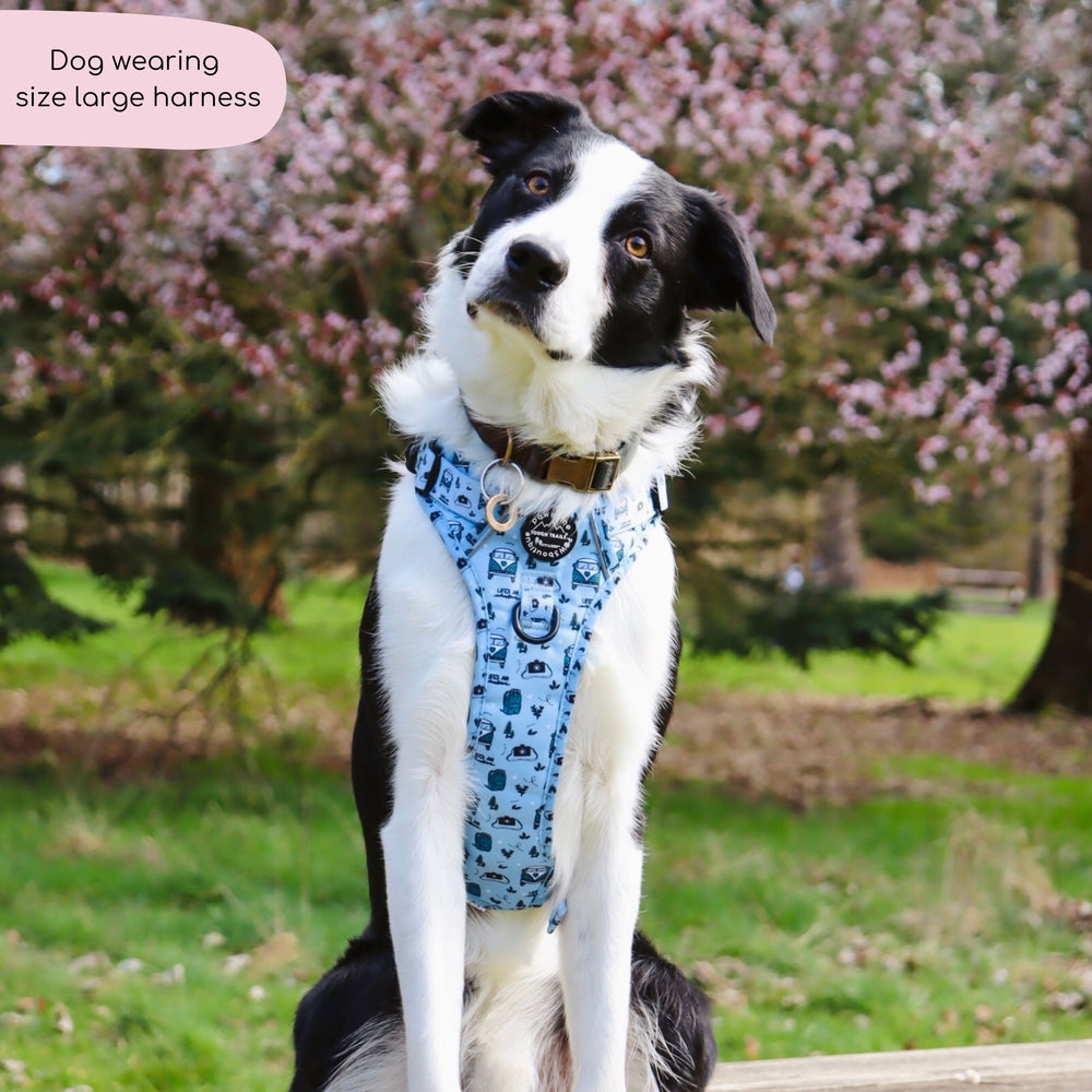 Tough Trails™ Harness - Reuben's Roadtrip