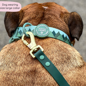 Collar - Walkies Ready® Forest Green