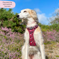 Tough Trails™ Harness - Mable's Meadow