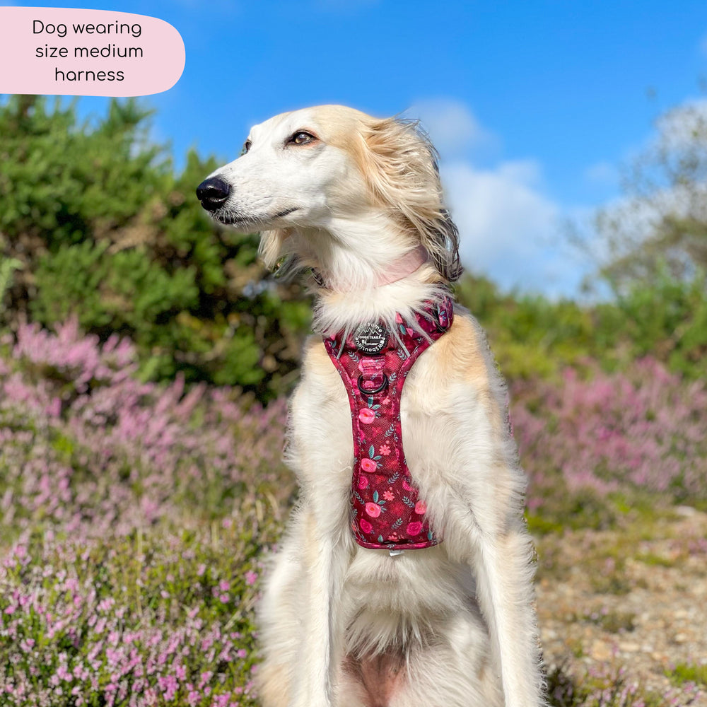 Tough Trails™ Harness - Mable's Meadow