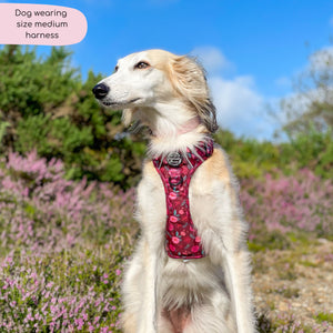 Tough Trails™ Harness - Mable's Meadow