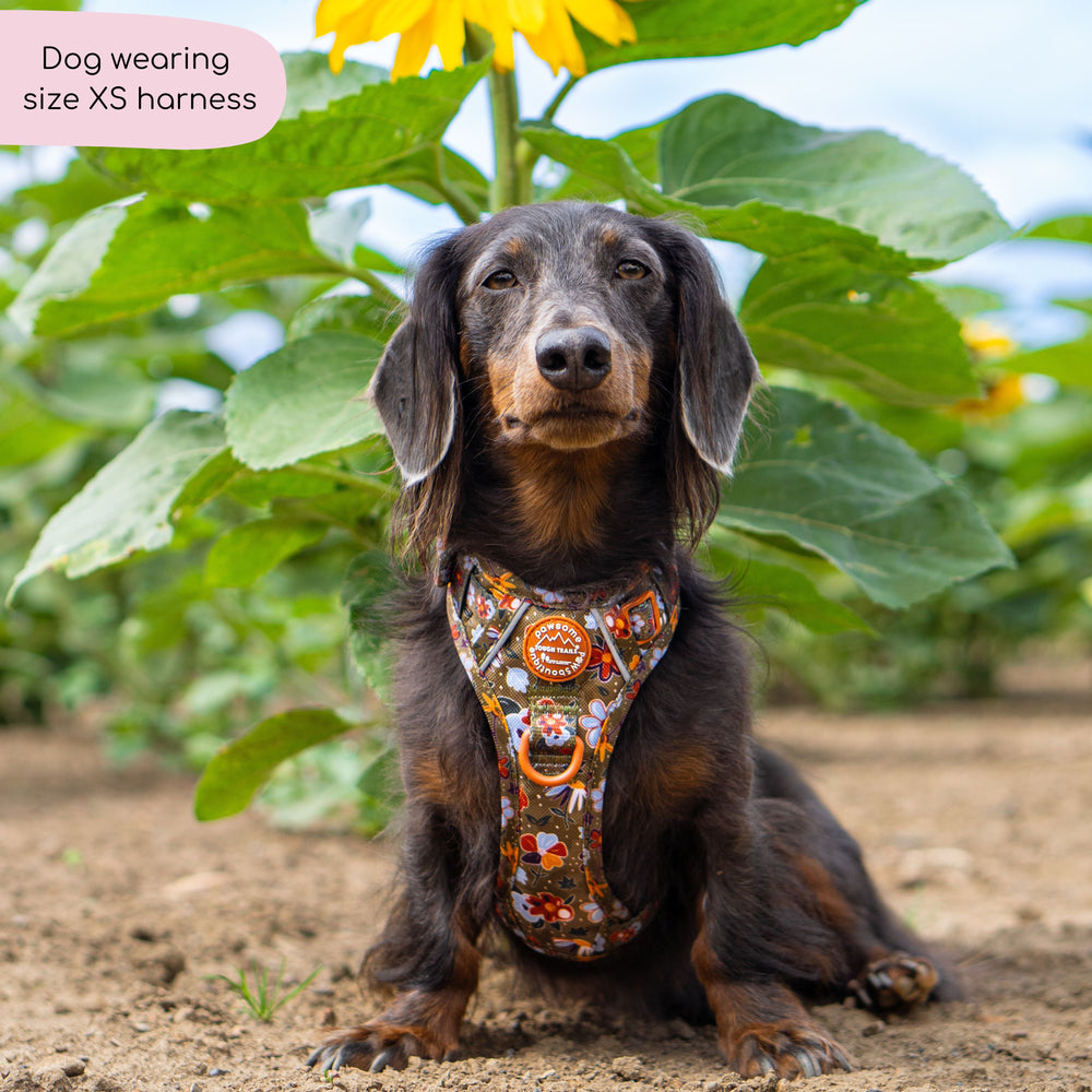 Tough Trails™ Harness - Rust & Bloom