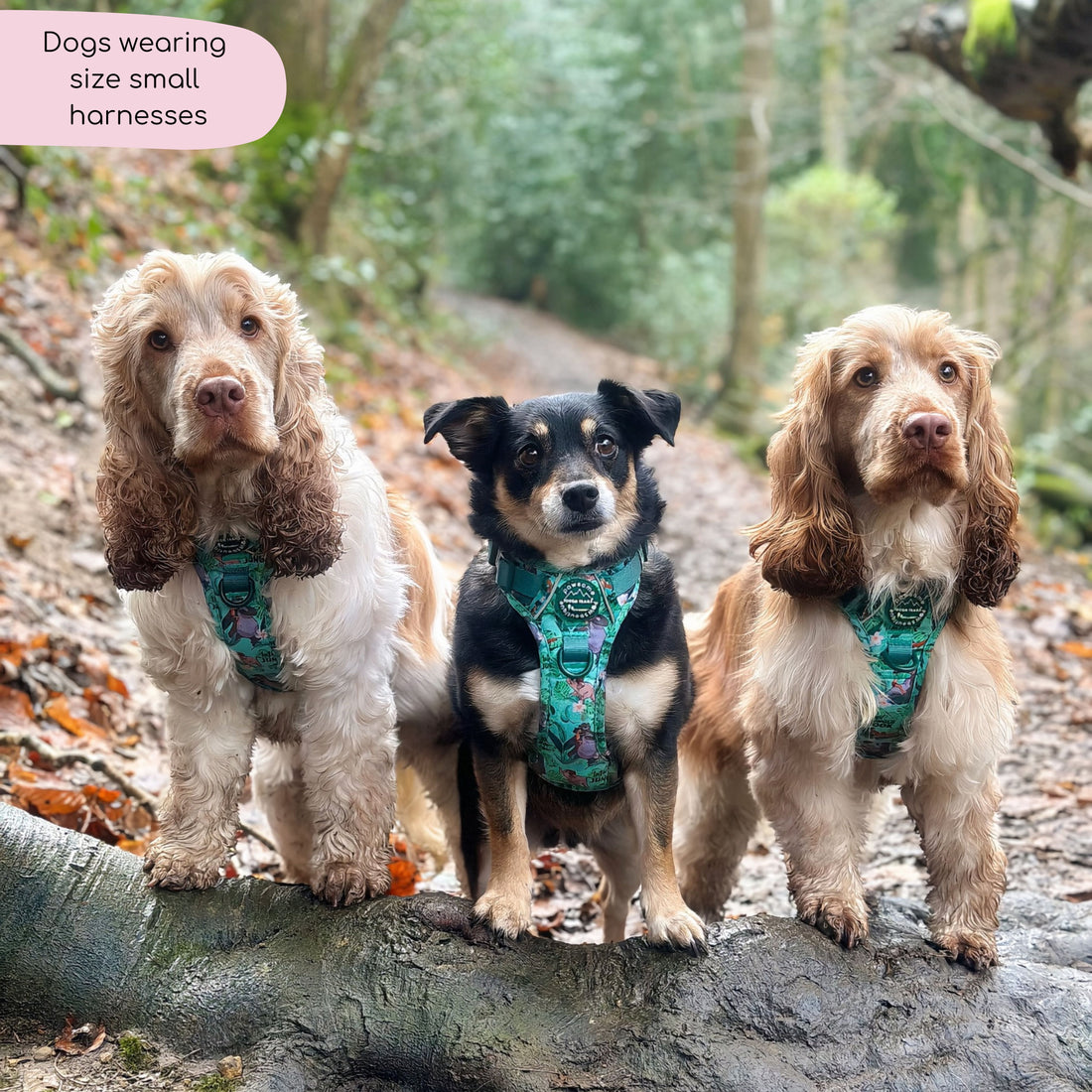Disney© Tough Trails™ Harness - Jungle Book