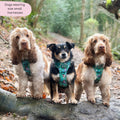 Disney© Tough Trails™ Harness - Jungle Book
