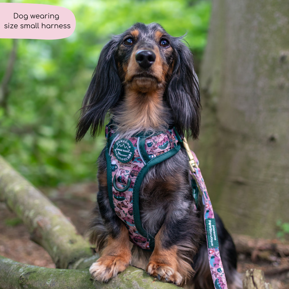 Tough Trails™ Harness -  Adventure Awaits