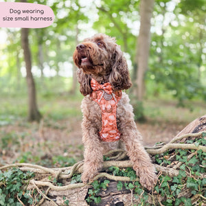 Tough Trails™ Harness - Cinnamon Spice