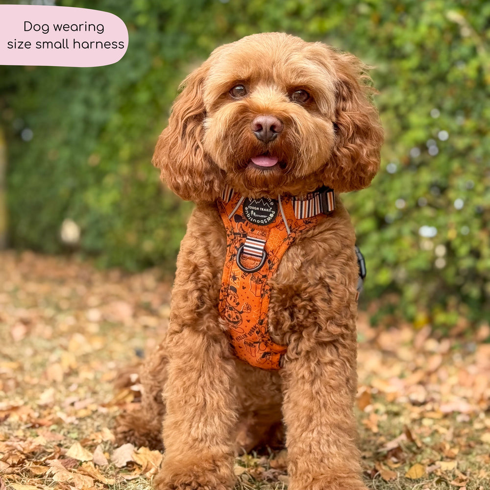 Disney© Tough Trails™ Harness - Halloween