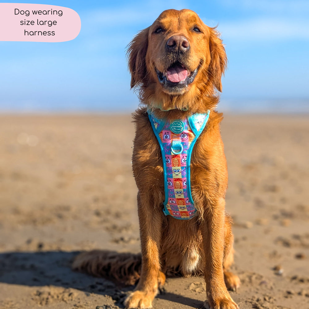 Tough Trails™ Harness - Spongebob