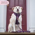 Tough Trails™ Harness - Walkies Ready® Plum