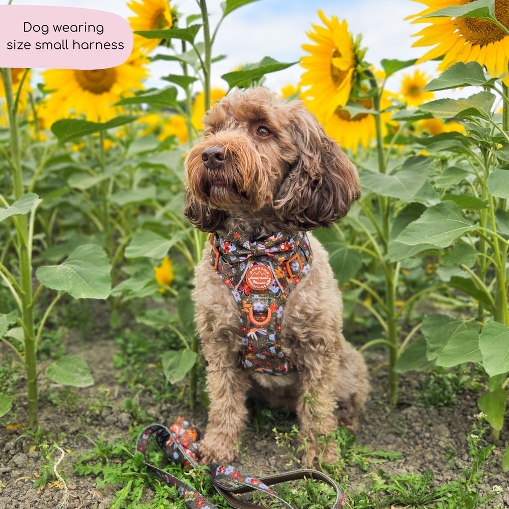 Tough Trails™ Harness - Rust & Bloom