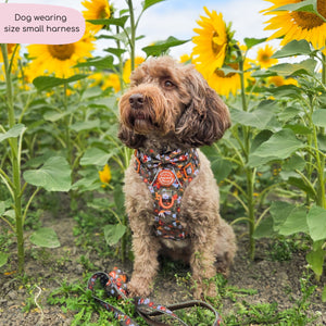 Tough Trails™ Harness - Rust & Bloom