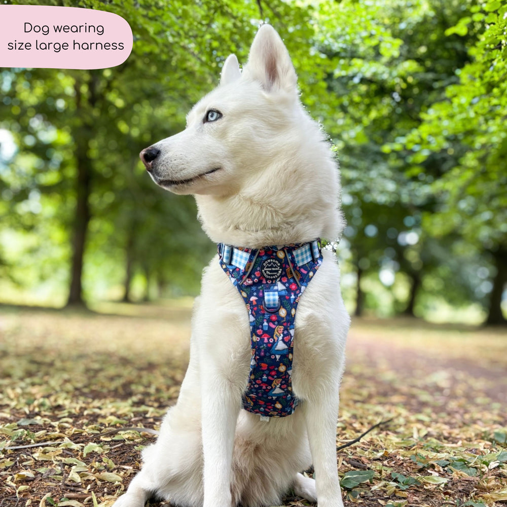 Disney© Tough Trails™ Harness - Alice In Wonderland