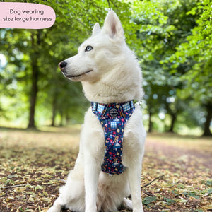 Disney© Tough Trails™ Harness - Alice In Wonderland