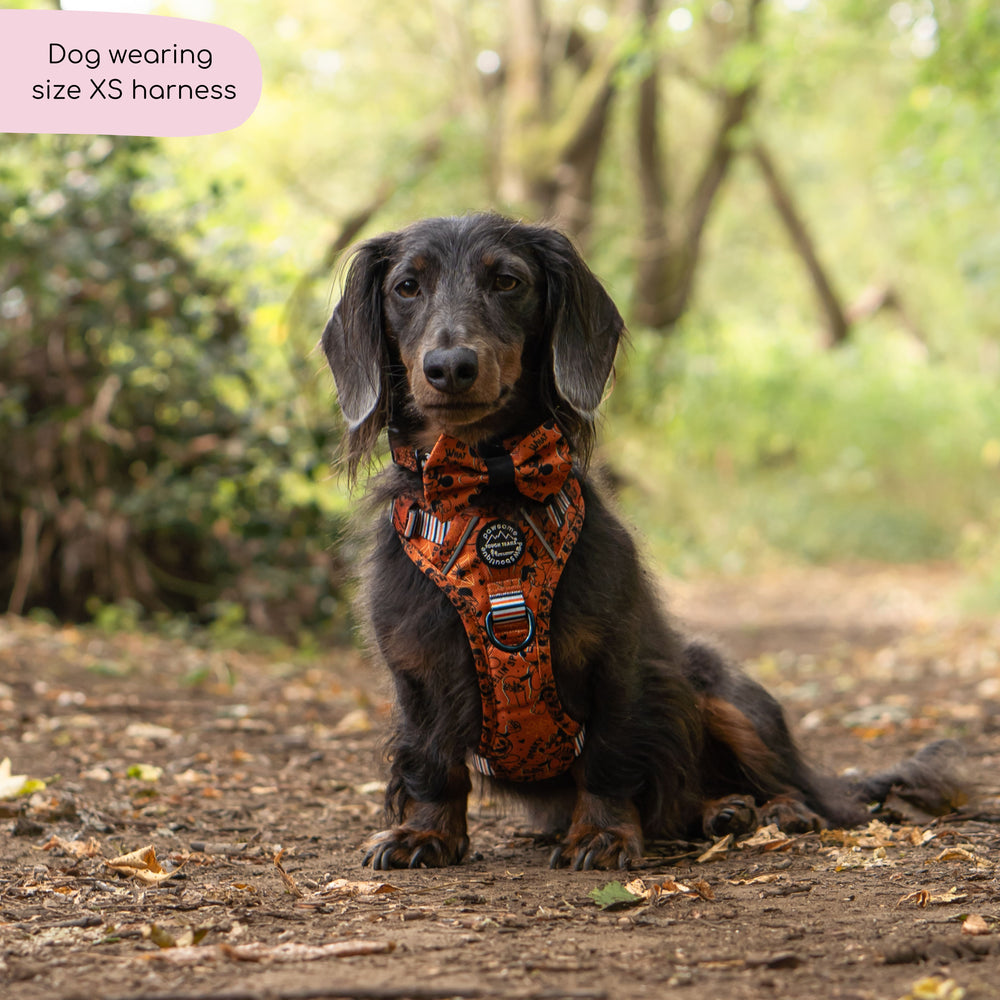 Disney© Tough Trails™ Harness - Halloween