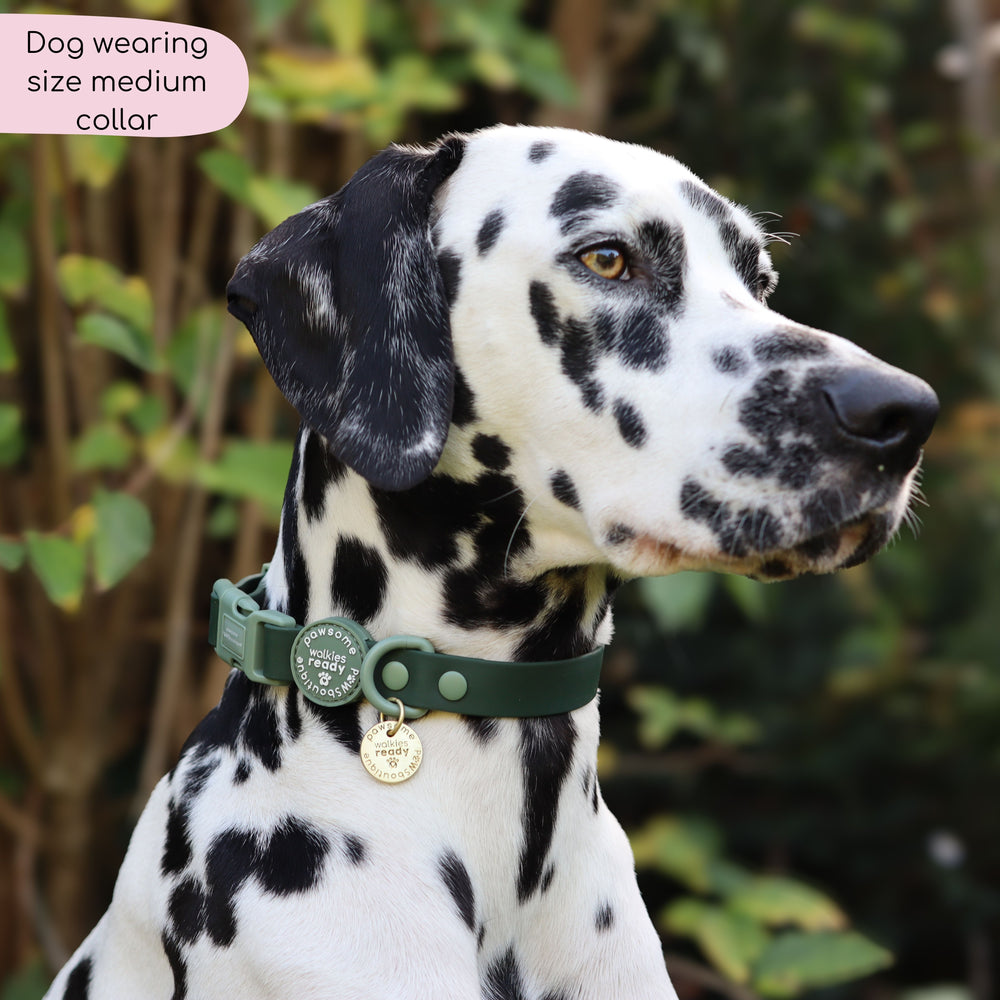 Waterproof Collar - Walkies Ready® Forest Green