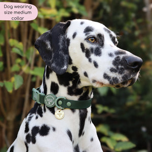 Waterproof Collar - Walkies Ready® Forest Green