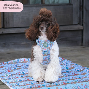 Tough Trails™ Harness -  Sandy Shores