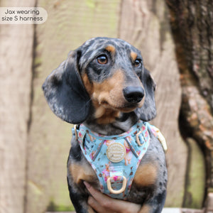 Disney© Tough Trails™ Harness - Winnie The Pooh