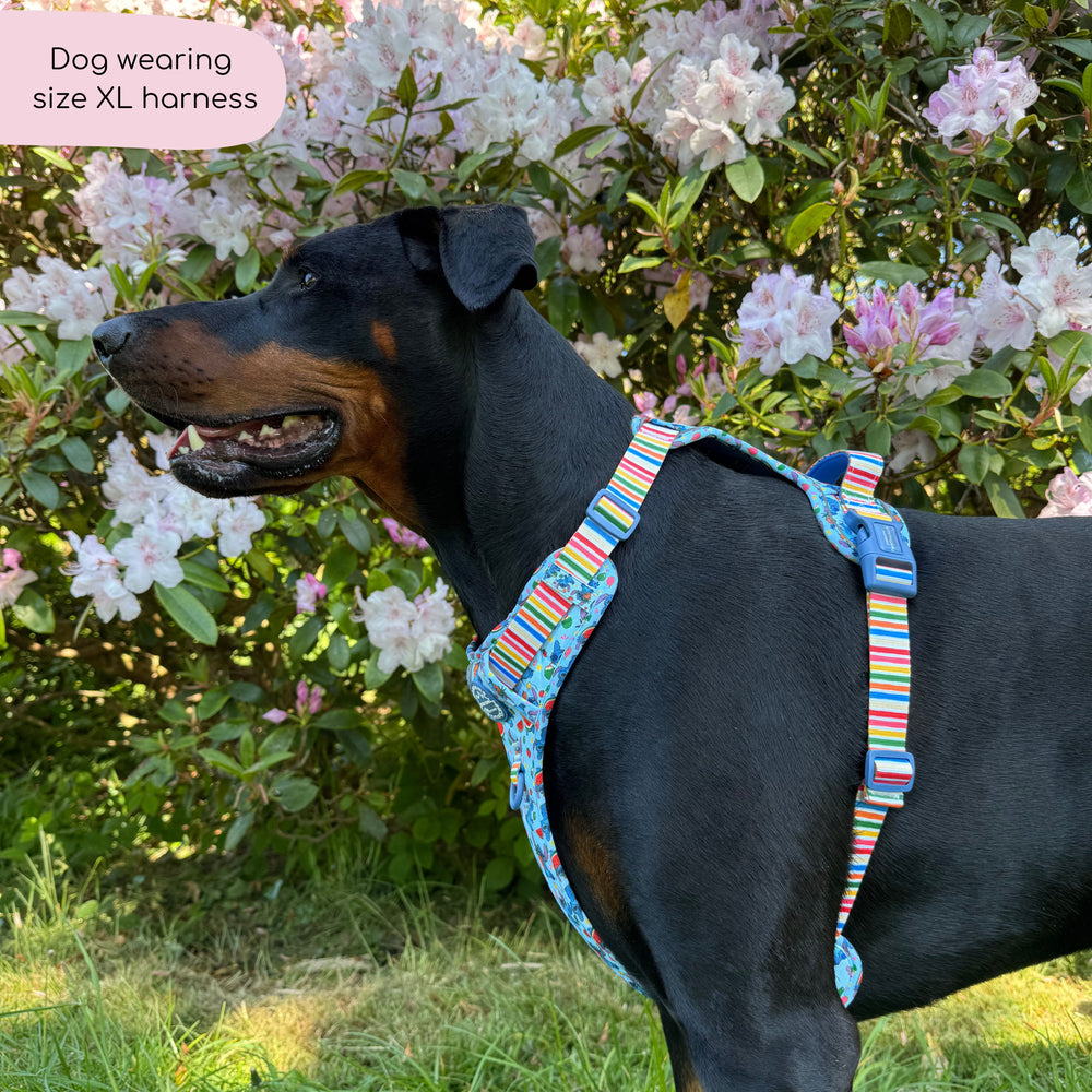 Disney© Tough Trails™ Harness - Stitch's Fruit Fiesta
