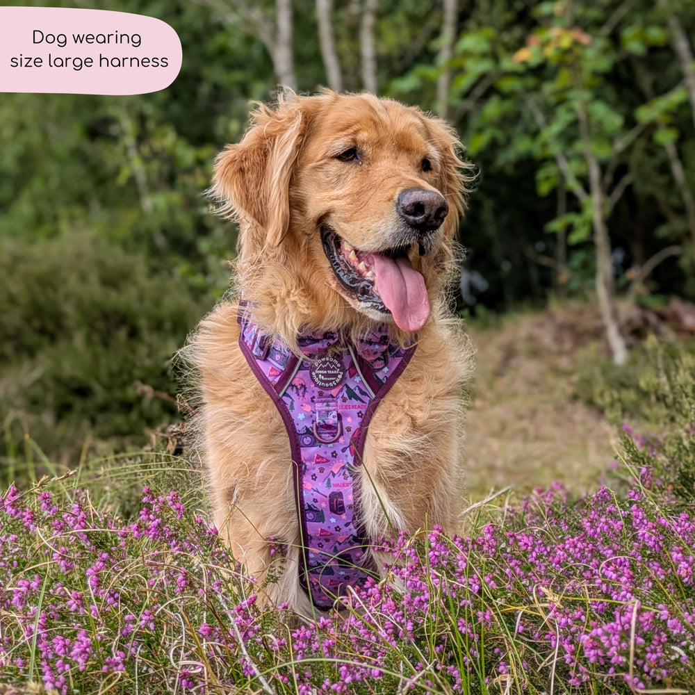 Tough Trails™ Harness - Roaming Wild