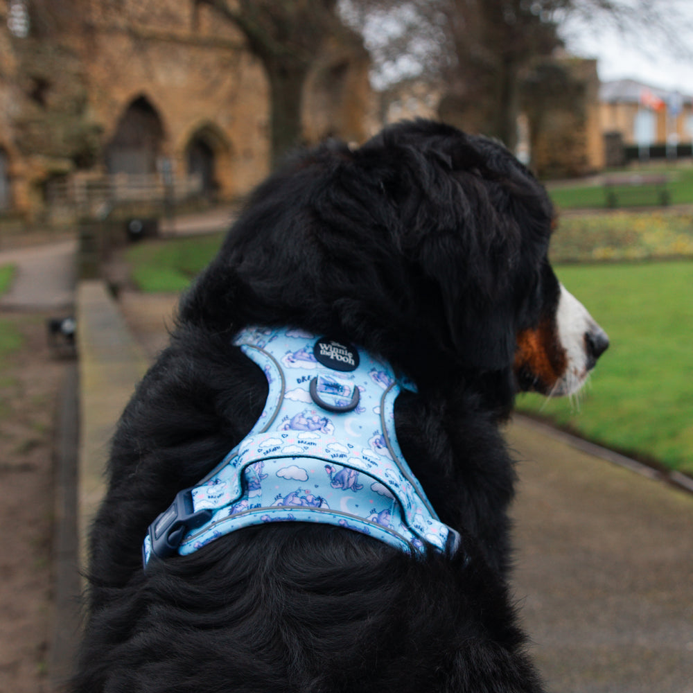 Disney© Tough Trails™ Harness - Eeyore