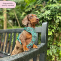Disney© Tough Trails™ Harness - Jungle Book