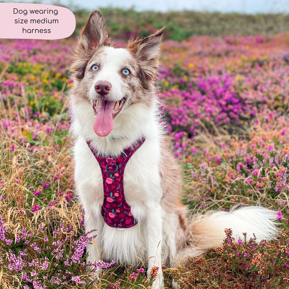 Tough Trails™ Harness - Mable's Meadow