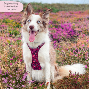 Tough Trails™ Harness - Mable's Meadow