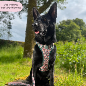 Tough Trails™ Harness -  Adventure Awaits