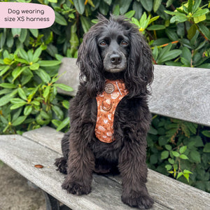 Tough Trails™ Harness - Cinnamon Spice