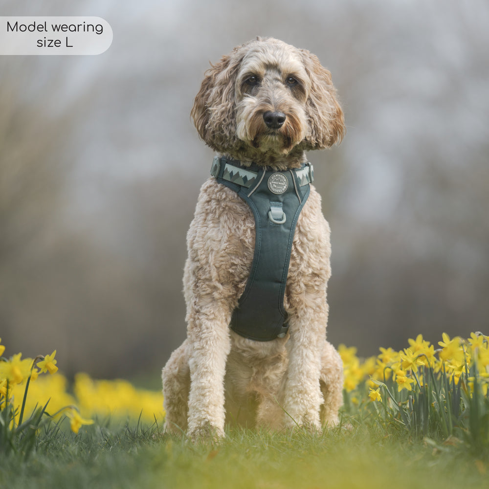 Tough Trails™ Harness - Walkies Ready® Forest Green