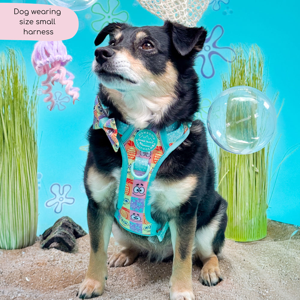 Tough Trails™ Harness - Spongebob