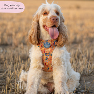 Tough Trails™ Harness - Celestial Spirit
