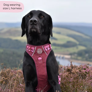 Tough Trails™ Harness - Walkies Ready® Mulberry