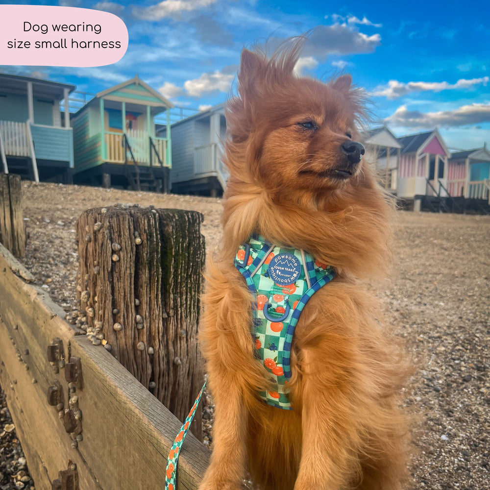 Tough Trails™ Harness -  Fruit Punch