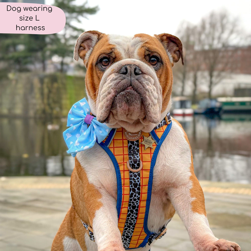 Disney© Tough Trails™ Harness - Woody