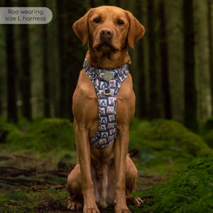 Disney© Tough Trails™ Harness -  Winnie + Friends