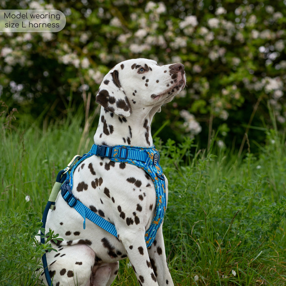 Disney© Tough Trails™ Harness - Simba