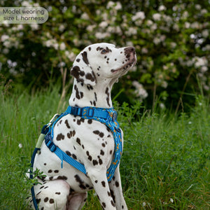 Disney© Tough Trails™ Harness - Simba