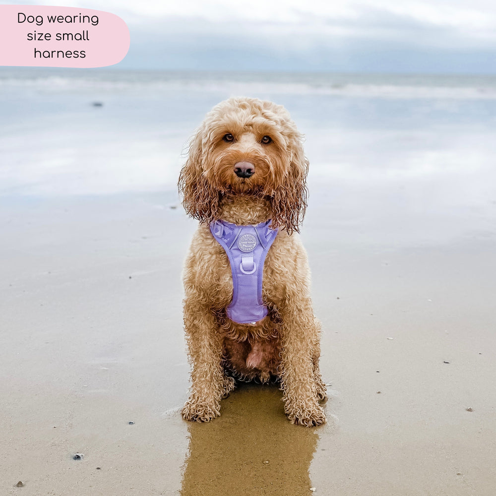 Tough Trails™ Harness - Walkies Ready® Lavender Lilac