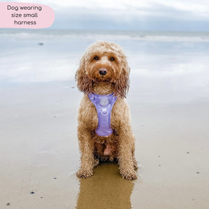 Tough Trails™ Harness - Walkies Ready® Lavender Lilac