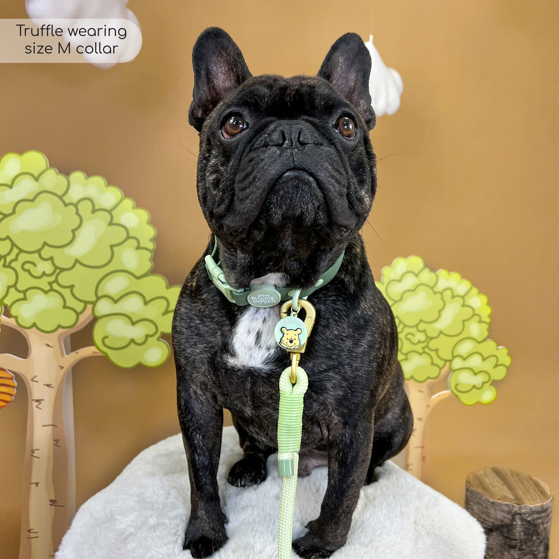 Disney© Collar/Lead Charm - 100 Aker Wood