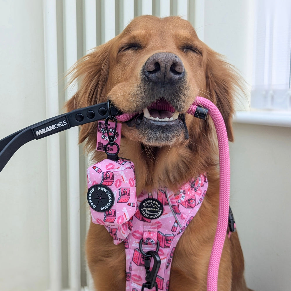 Poo Bag Holder - Mean Girls